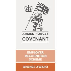 armed forces bronze award